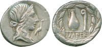 Q. Caecilius, Silver Denarius