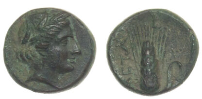 Lucania, Metapontum (3rd Century BC) AE Unit AFPL#4