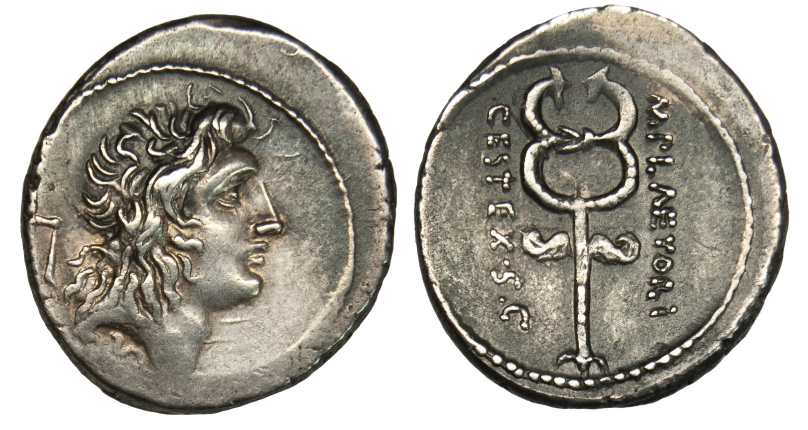 M. Plaetorius Mf Cestianus, Silver Denarius