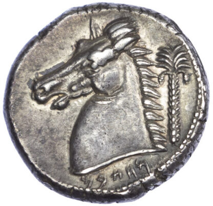 Sicily, Siculo-Punic, Silver Tetradrachm