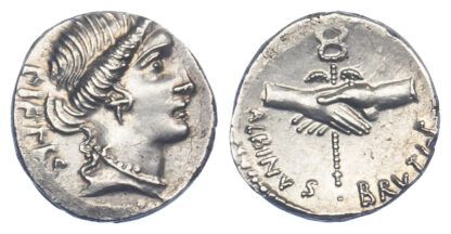 Albinus Bruti F, Silver Denarius