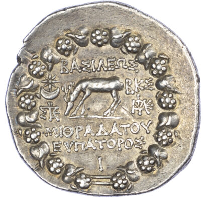 Pontus, Mithradates VI, Silver Tetradrachm