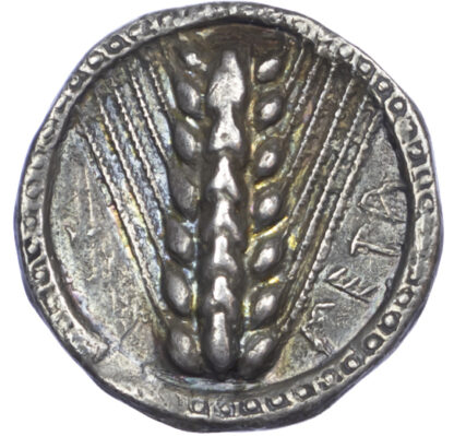 Lucania, Metapontum, Silver Nomos