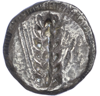 Lucania, Metapontum, Silver Nomos