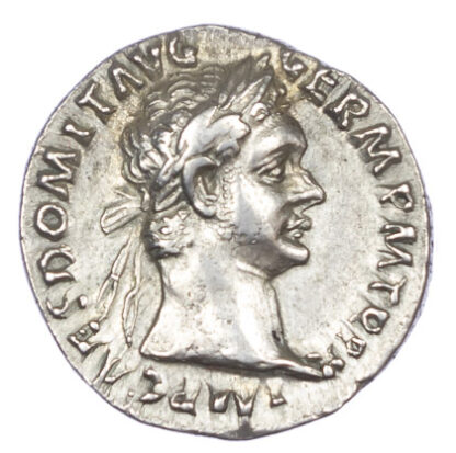 Domitian, Silver Denarius
