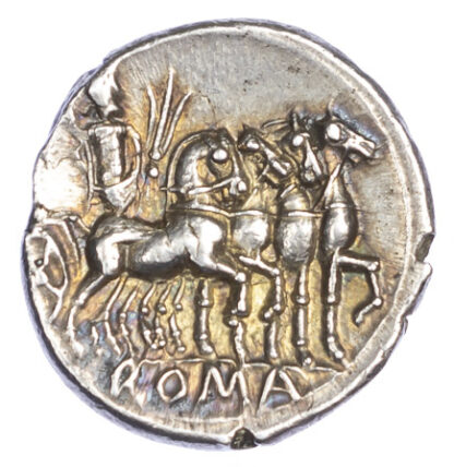 M Vargunteius denarius