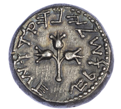 Judaea, First Revolt, Silver Shekel, Year 2