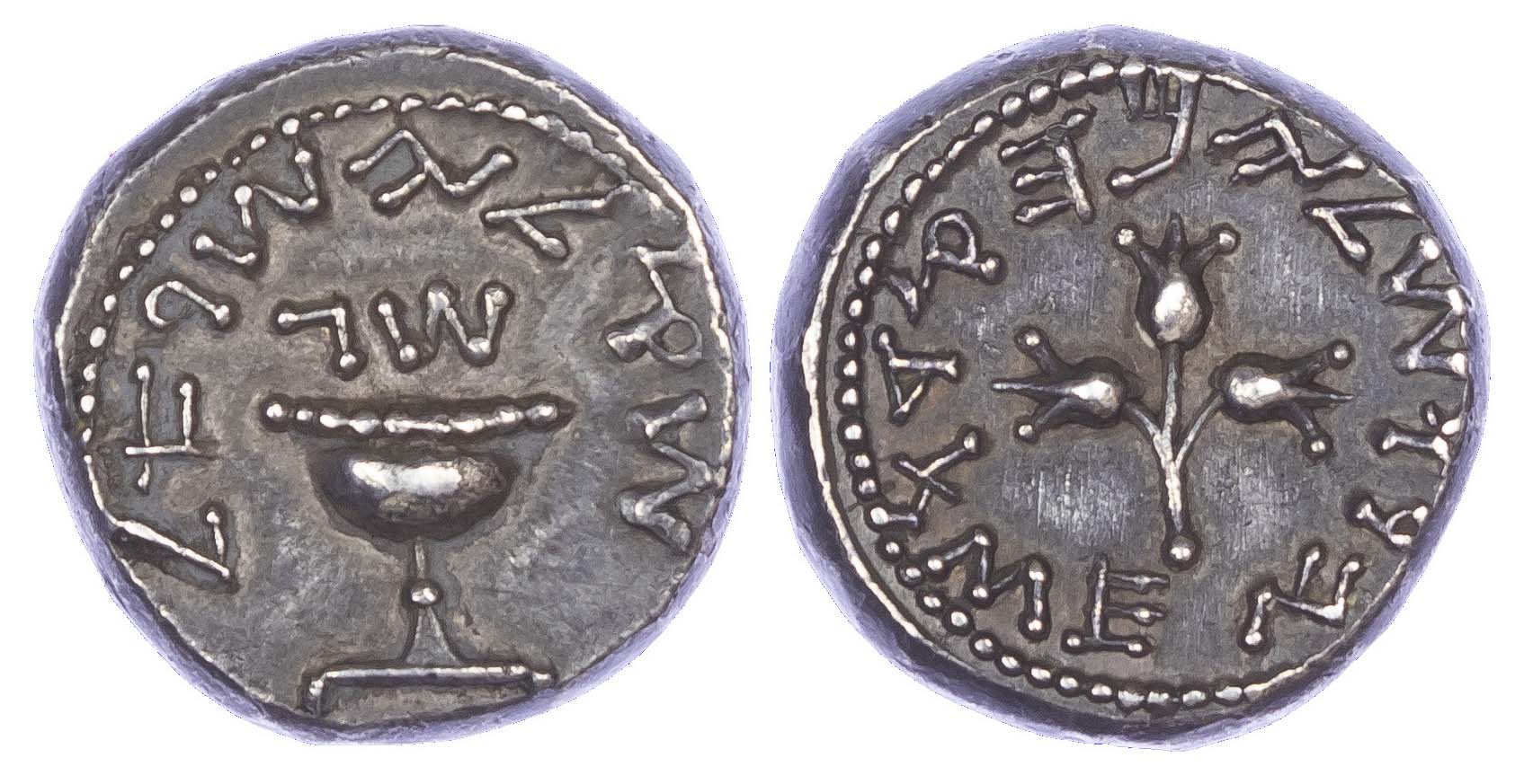 Judaea, First Revolt, Silver Shekel, Year 3
