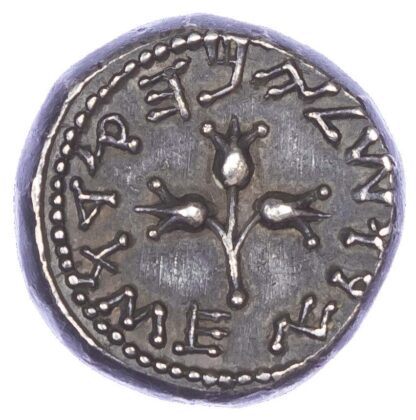Judaea, First Revolt, Silver Shekel, Year 3