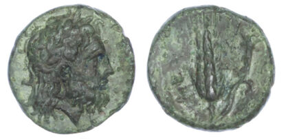 Lucania, Metapontum, Bronze Unit