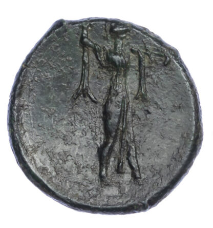Sicily, Syracuse, Pyrrhus, Bronze Unit