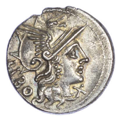 Q. Marcius Libo, Silver Denarius