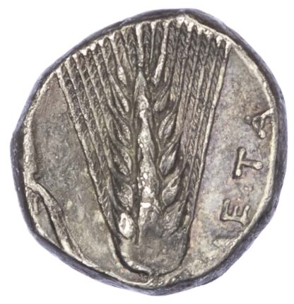 Lucania, Metapontum, Silver Nomos