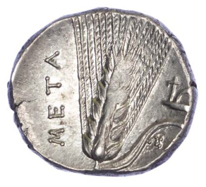 Lucania, Metapontum, Silver Nomos