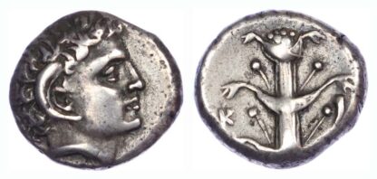Kyrenaica, Kyrene, Silver Didrachm