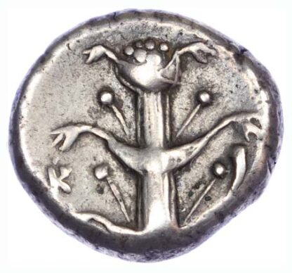Kyrenaica, Kyrene, Silver Didrachm