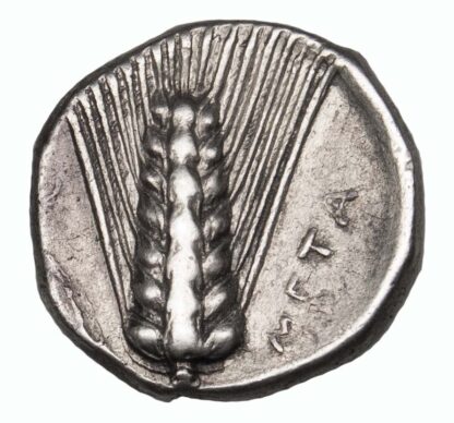 Lucania, Metapontum, Silver Nomos