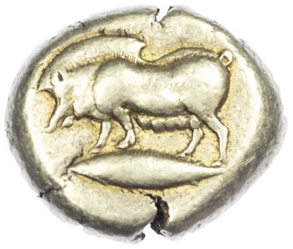 Mysia, Kyzikos, Electrum Stater