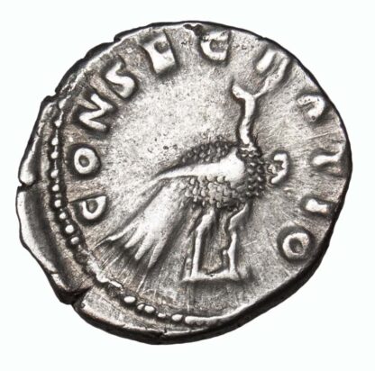 Diva Faustina Junior, Silver Denarius