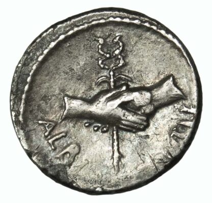 Albinus Bruti F, Silver Denarius