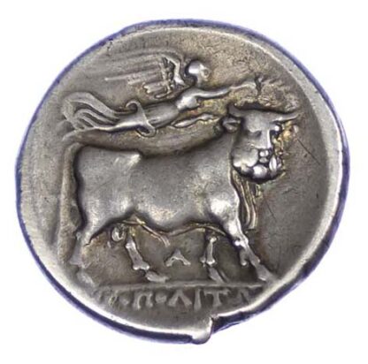 Campania, Neapolis, Silver Didrachm