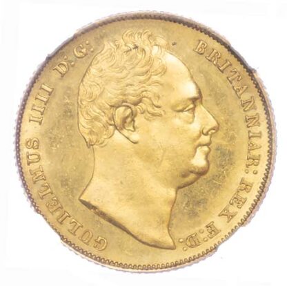 1831 William IV Sovereign Virtually Mint MS63