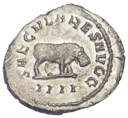 Otacillia Severa, Silver Antoninianus