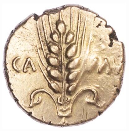 Cunobelin, Gold Stater
