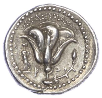 Rhodes, Silver Didrachm