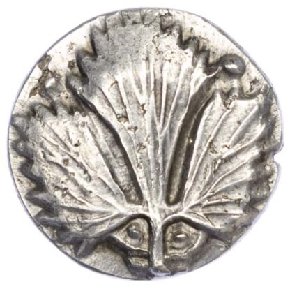 Sicily, Selinos, Silver Didrachm