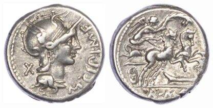 M. Cipius, Silver Denarius