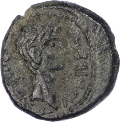 Augustus and Divus Julius Caesar, Bronze Unit