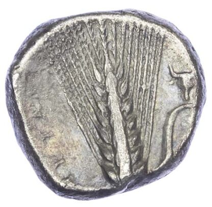 Lucania, Metapontum, Silver Stater