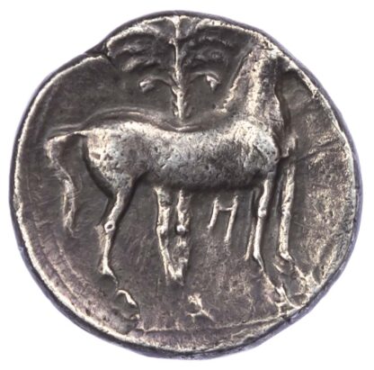 Carthago Nova (Hannibal?), Silver Shekel