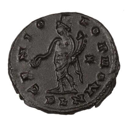 Maximinus II, Bronze Follis
