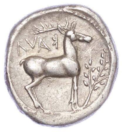 Bruttium, Caulonia, Silver Nomos