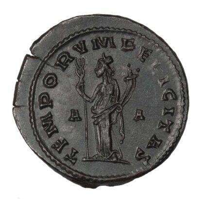 Tacitus, Antoninianus