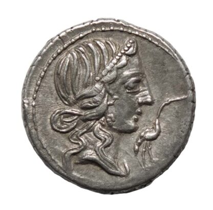Q. Caecilius Metellus Pius, Silver Denarius