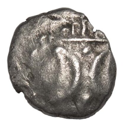 Iceni, Silver Unit
