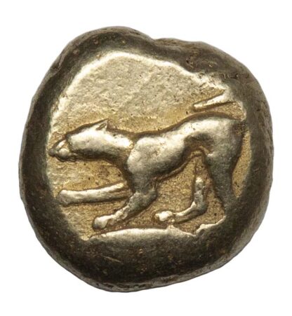 Mysia, Kyzikos, Electrum Stater