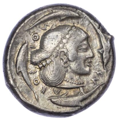 Sicily, Syracuse, Silver Tetradrachm