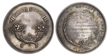 Horticultural Society of Ireland 1858, Silver prize medal