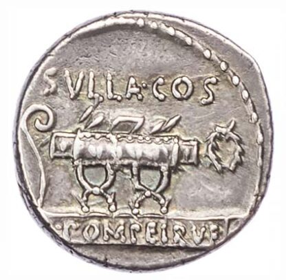 Q Pompeius Rufus, Silver Denarius
