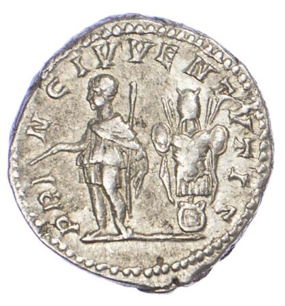 Geta, Silver Denarius