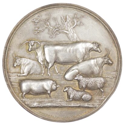 Agricultural prize medal, Birmingham and Midland Counties Exhibition Silver medal 1851