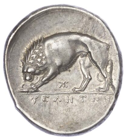 Lucania, Velia, Silver Nomos