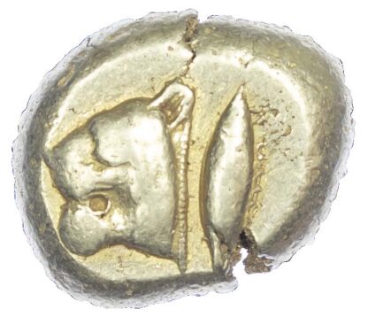 Mysia, Kyzikos, Electrum Stater