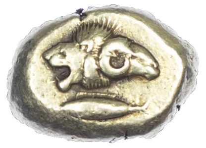 Mysia, Kyzikos, Electrum Stater