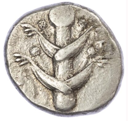 Barce, Silver Tetradrachm