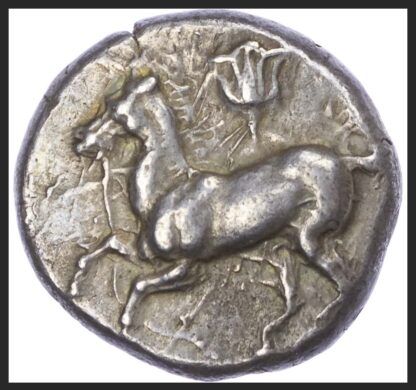 Maroniea, Silver Tetradrachm